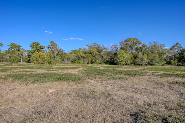 100 ACRES Spring Branch Road, Montgomery, TX 77316