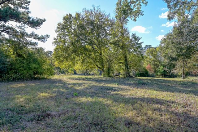 100 ACRES Spring Branch Road, Montgomery, TX 77316