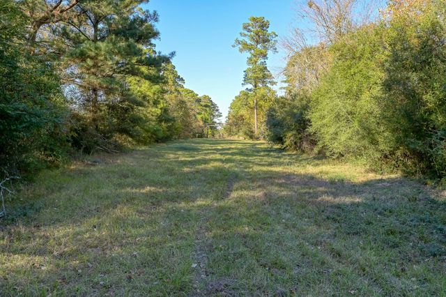 100 ACRES Spring Branch Road, Montgomery, TX 77316