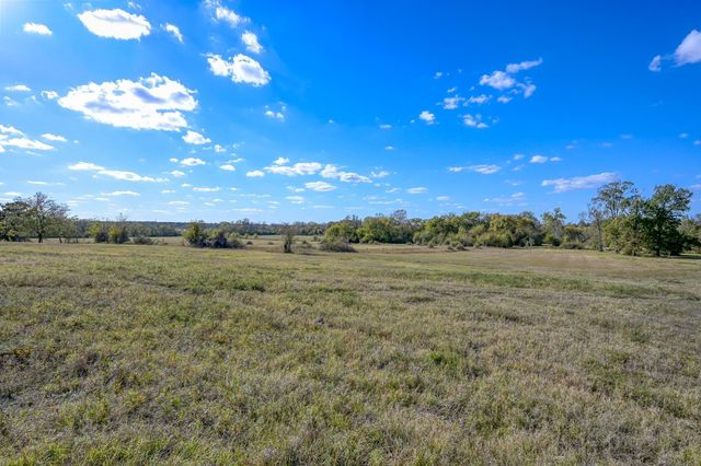 100 ACRES Spring Branch Road, Montgomery, TX 77316