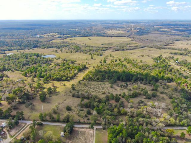100 ACRES Spring Branch Road, Montgomery, TX 77316