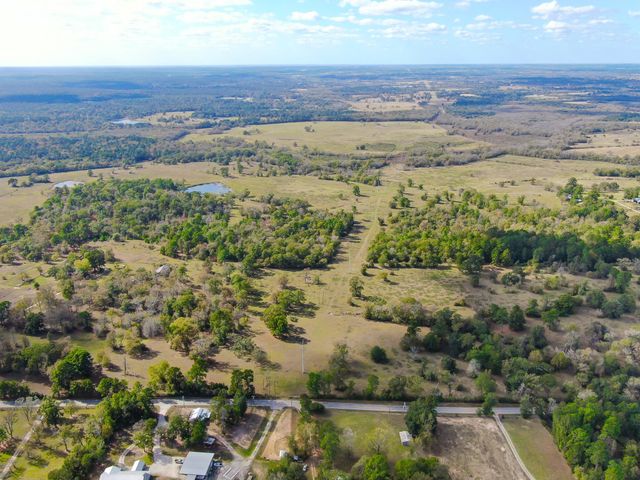 100 ACRES Spring Branch Road, Montgomery, TX 77316