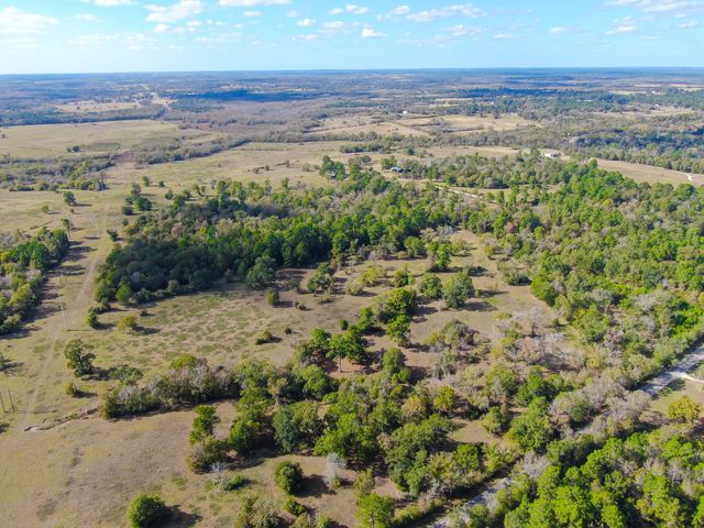 100 ACRES Spring Branch Road, Montgomery, TX 77316