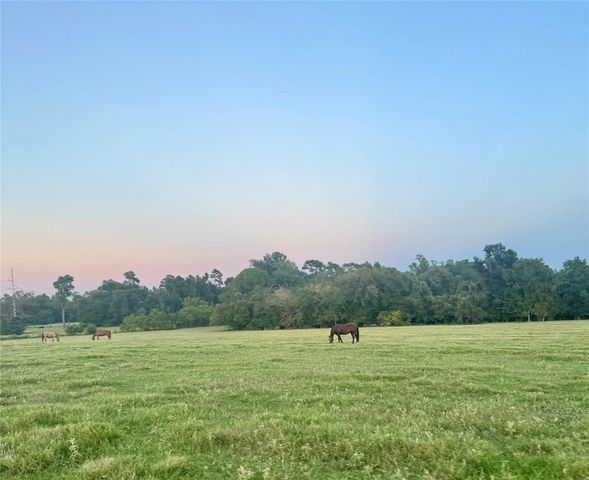 100 ACRES Spring Branch Road, Montgomery, TX 77316