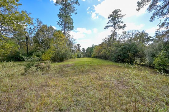 100 ACRES Spring Branch Road, Montgomery, TX 77316