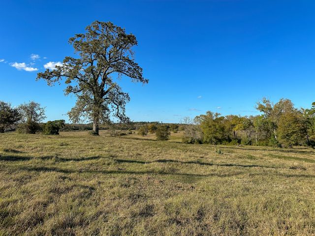 100 ACRES Spring Branch Road, Montgomery, TX 77316