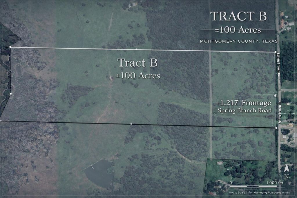 100 ACRES Spring Branch Road, Montgomery, TX 77316