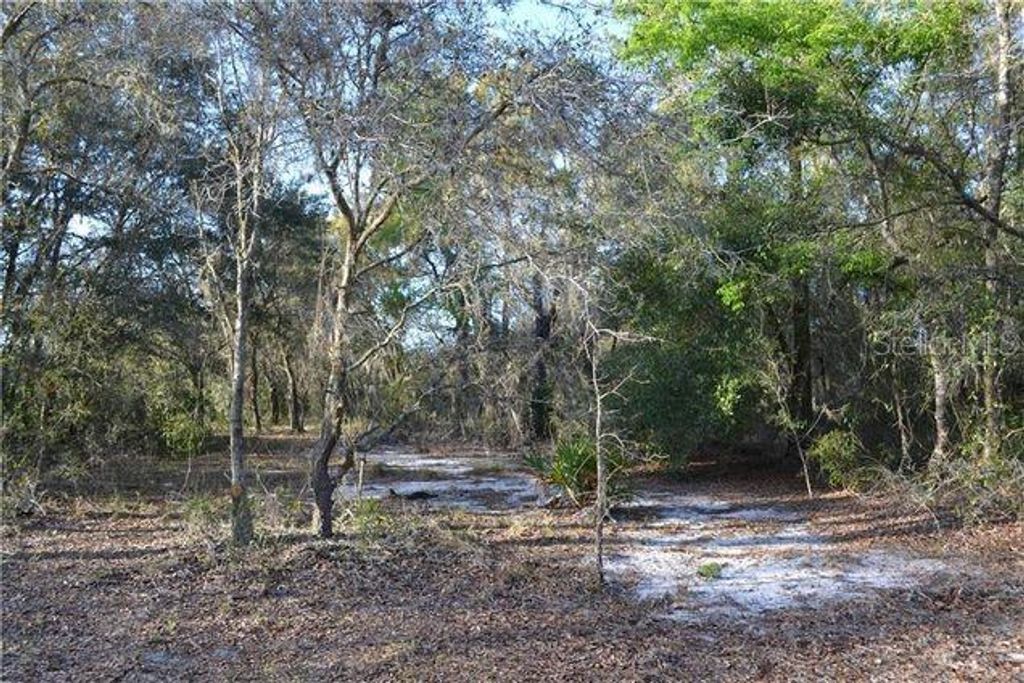GRANDVILLE, Hudson, FL 34669