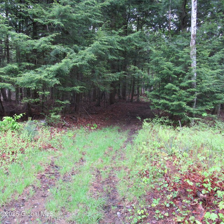 L5 Seven Hills Road, Northampton, NY 12134