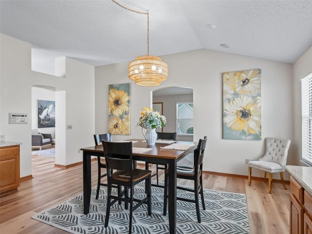 508 ALCAZAR COURT, The Villages, FL 32159