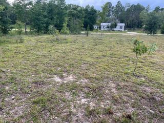 NE 135TH COURT, Williston, FL 32696