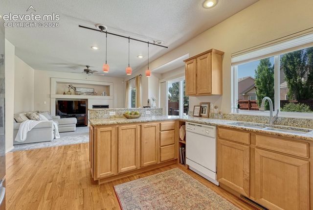 10540 Antler Creek Drive, Peyton, CO 80831