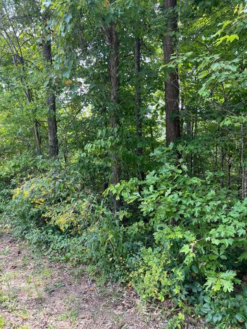 0 Sandy Hills Road, Corbin, KY 40701