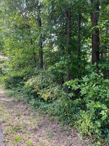 0 Sandy Hills Road, Corbin, KY 40701