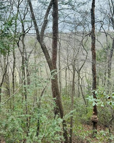 0 Sandy Hills Road, Corbin, KY 40701