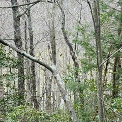 0 Sandy Hills Road, Corbin, KY 40701