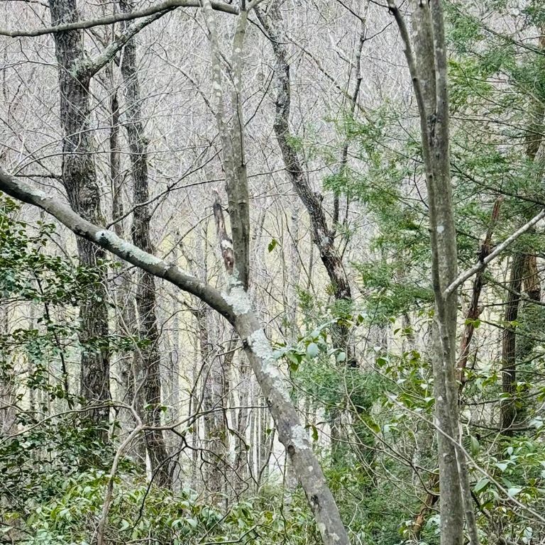 0 Sandy Hills Road, Corbin, KY 40701