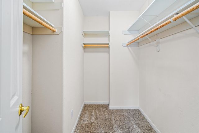 2224 Shady Tree Lane, Conroe, TX 77301