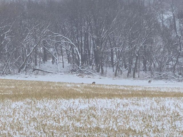 N1674 High Street, Manchester, WI 53946