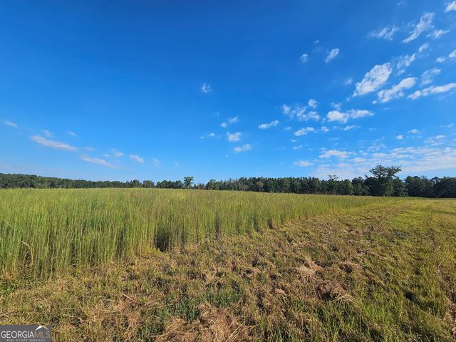 0 Caney Head Road TRACT 1, Roopville, GA 30170