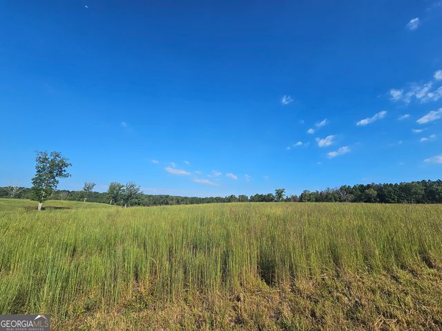 0 Caney Head Road TRACT 1, Roopville, GA 30170