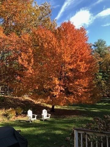 7 Trout Brook Way, Shirley, MA 01464