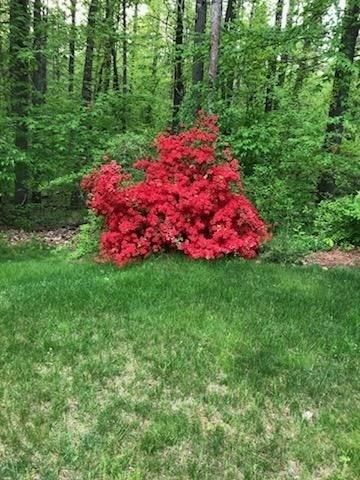 7 Trout Brook Way, Shirley, MA 01464