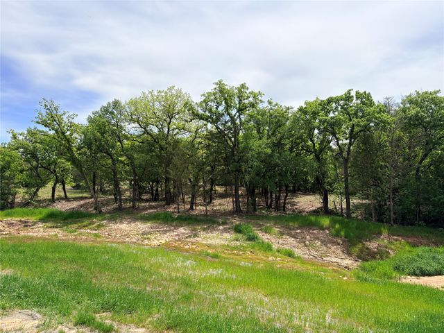 135 Turtle Back Ridge, Decatur, TX 76234