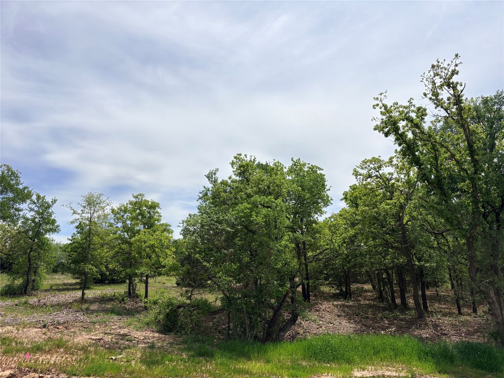 135 Turtle Back Ridge, Decatur, TX 76234