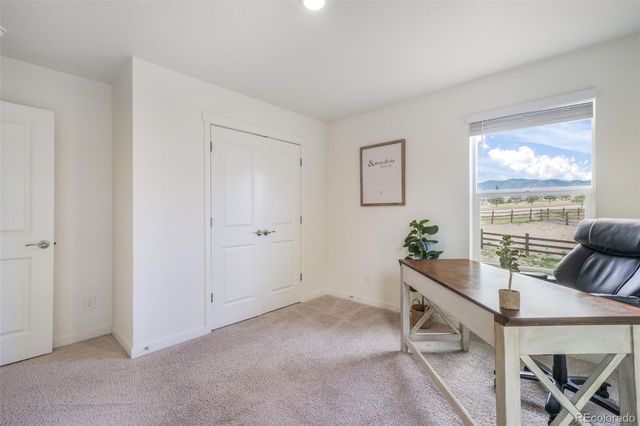 2140 Flame Grass Drive, Monument, CO 80132