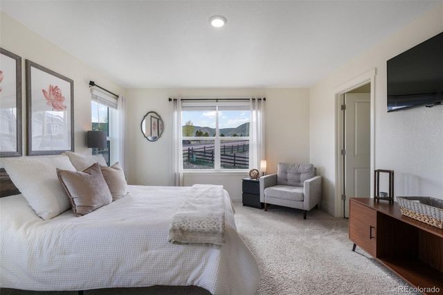 2140 Flame Grass Drive, Monument, CO 80132