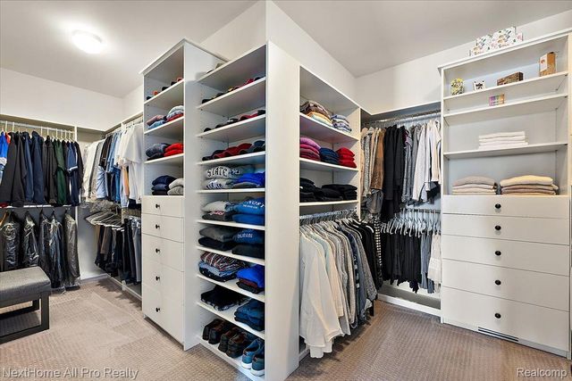 22841 Shepherds Hollow Drive, Lyon Charter Township, MI 48178