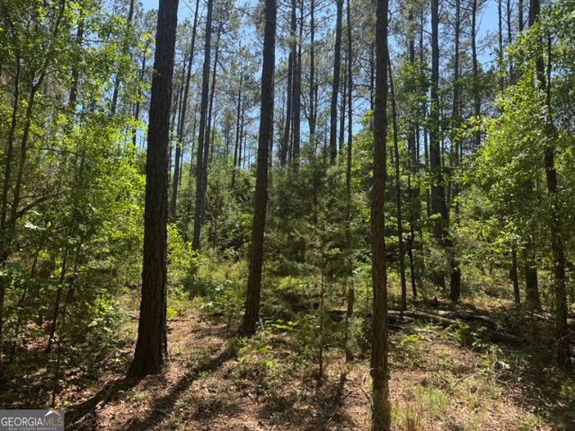 4008 Horseshoe Road, Dawson, GA 39842