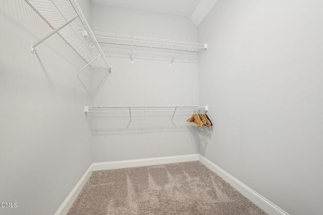 206 Heart Pine Drive, Wendell, NC 27591