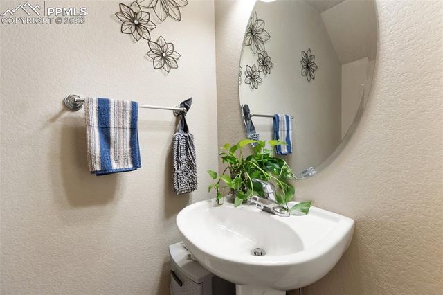 4338 Alder Springs View, Colorado Springs, CO 80922