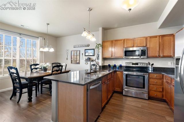 4338 Alder Springs View, Colorado Springs, CO 80922