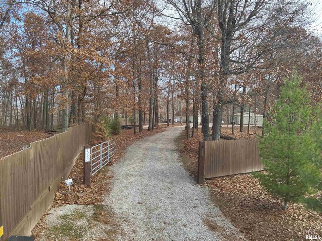 19650 N Pisque Lane, Woodlawn, IL 62898