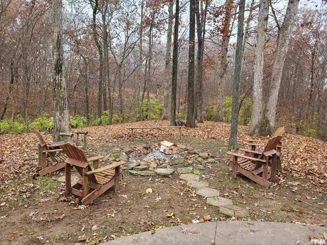 19650 N Pisque Lane, Woodlawn, IL 62898