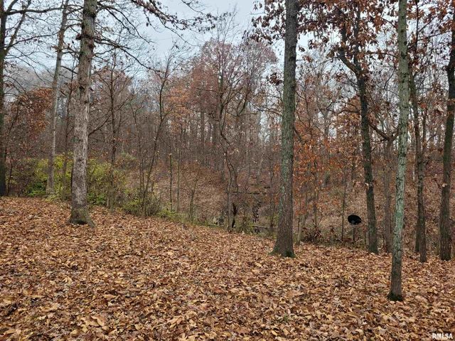 19650 N Pisque Lane, Woodlawn, IL 62898