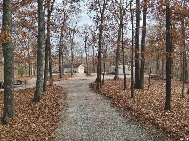 19650 N Pisque Lane, Woodlawn, IL 62898