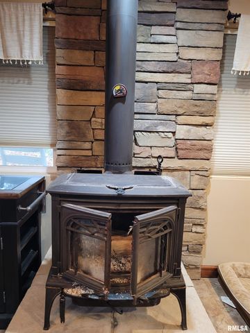 19650 N Pisque Lane, Woodlawn, IL 62898