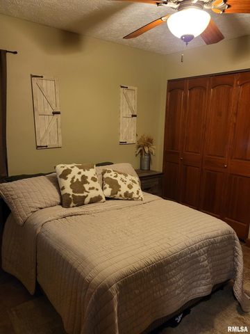 19650 N Pisque Lane, Woodlawn, IL 62898