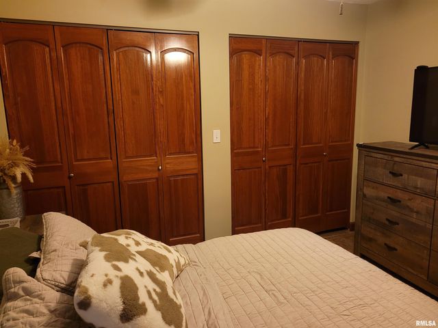 19650 N Pisque Lane, Woodlawn, IL 62898