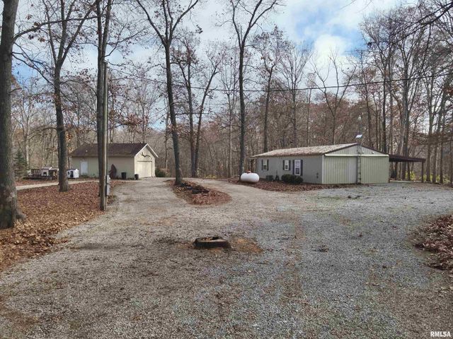 19650 N Pisque Lane, Woodlawn, IL 62898