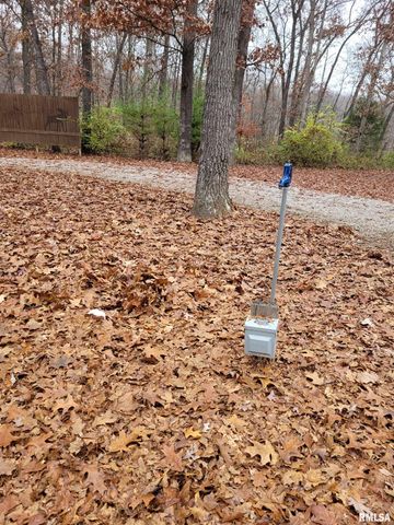 19650 N Pisque Lane, Woodlawn, IL 62898