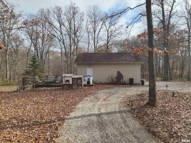 19650 N Pisque Lane, Woodlawn, IL 62898