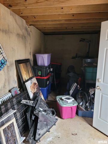 19650 N Pisque Lane, Woodlawn, IL 62898