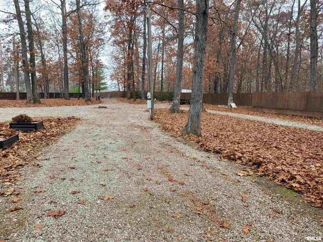 19650 N Pisque Lane, Woodlawn, IL 62898