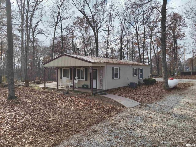 19650 N Pisque Lane, Woodlawn, IL 62898