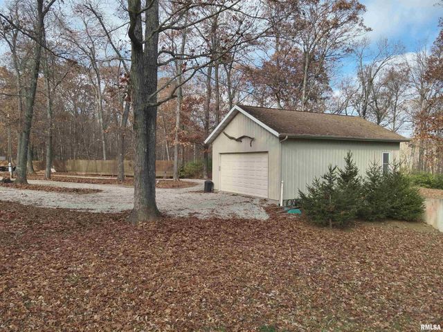 19650 N Pisque Lane, Woodlawn, IL 62898